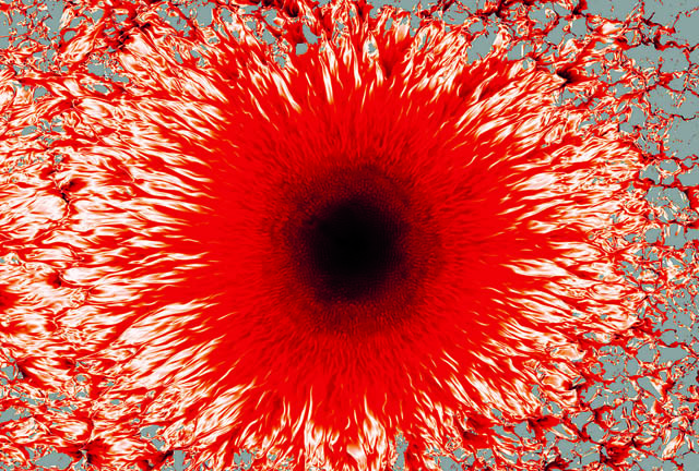 The World’s First Image of an Entire Sunspot’s Structure