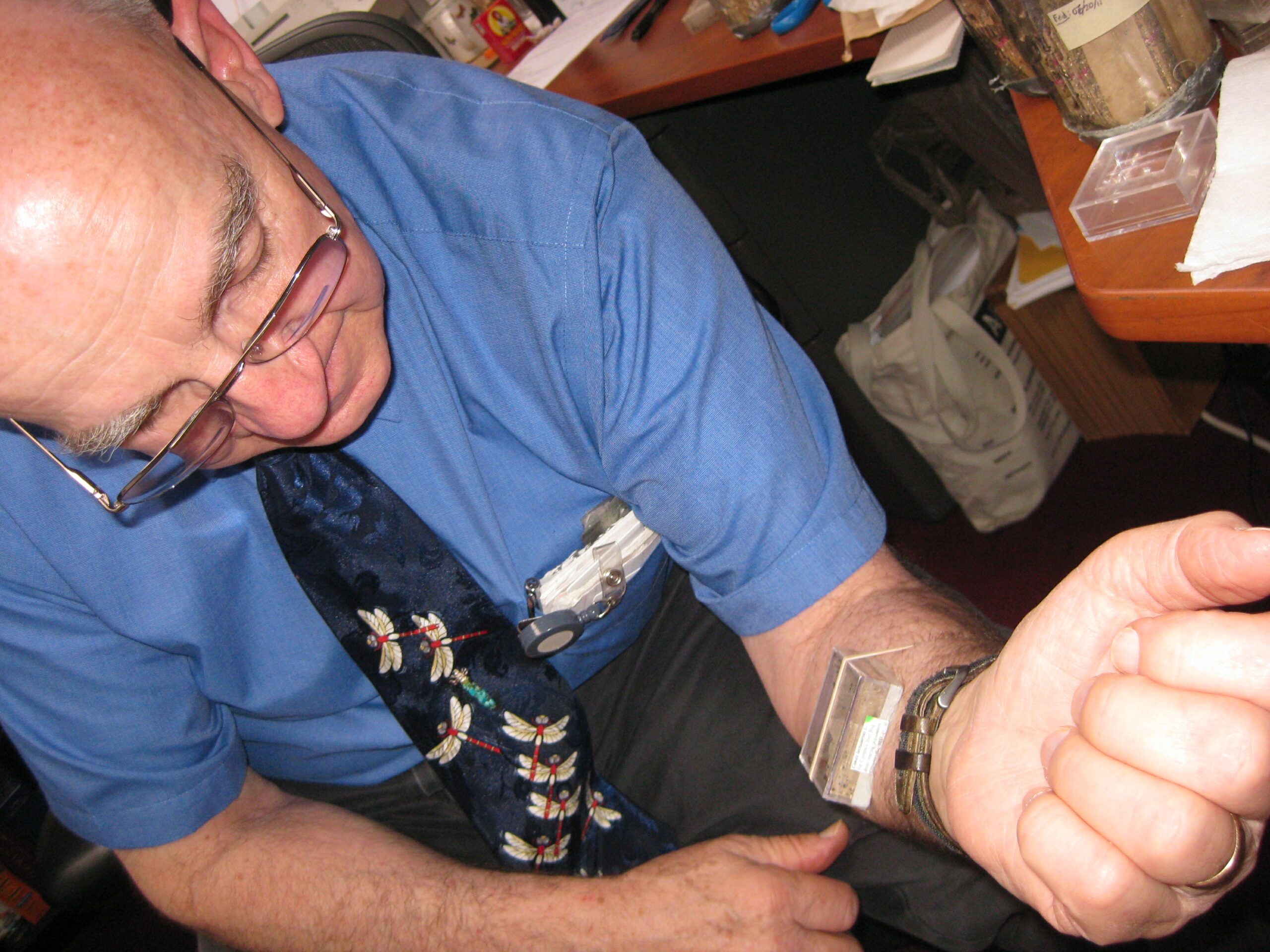 Harold Harlan feeds bed bugs on his arm using a small dispaly box