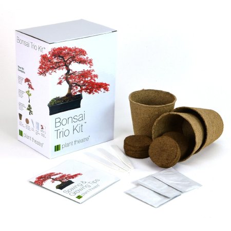  Bonsai kit