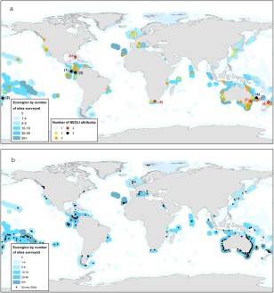 Vast Underwater Survey Identifies Five Keys to Conserving Ocean Life