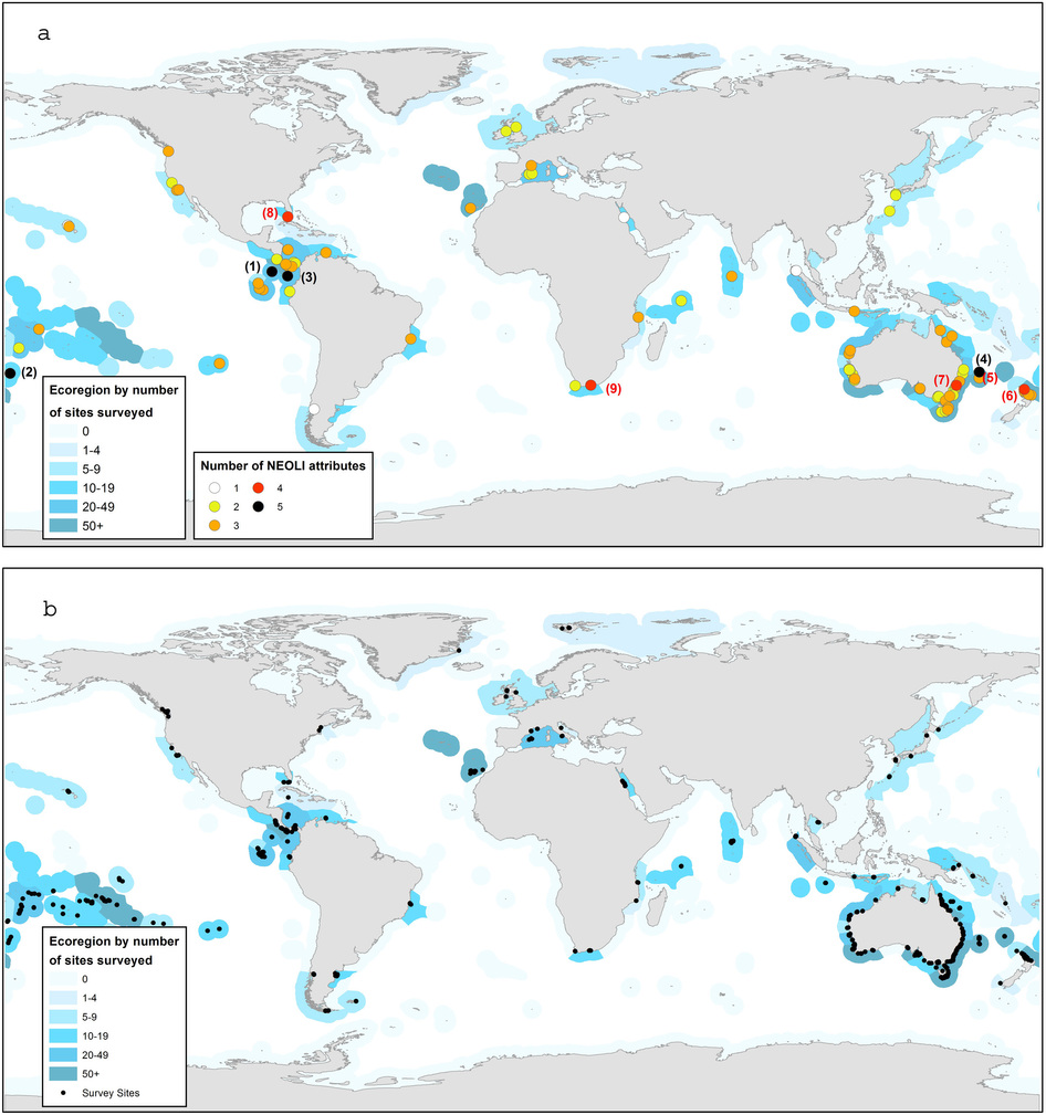 Number of NEOLI (no take, enforced, old, large and isolated) features at MPAs investigated (coloured circles)