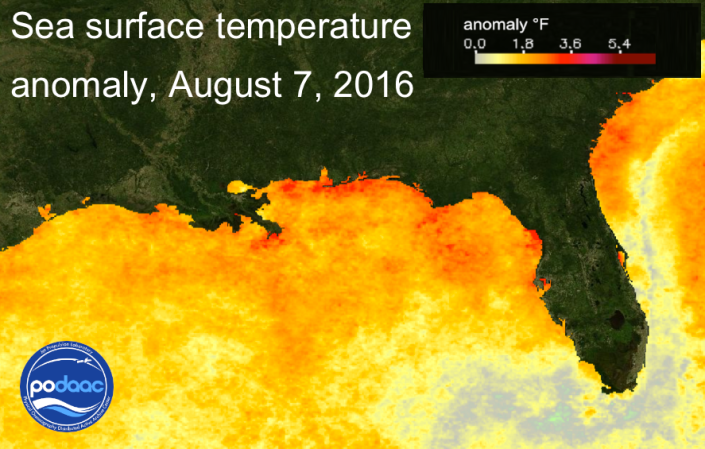 Sea surface temperatures grap