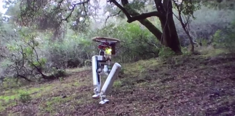 New Bipedal Robot Is All Legs