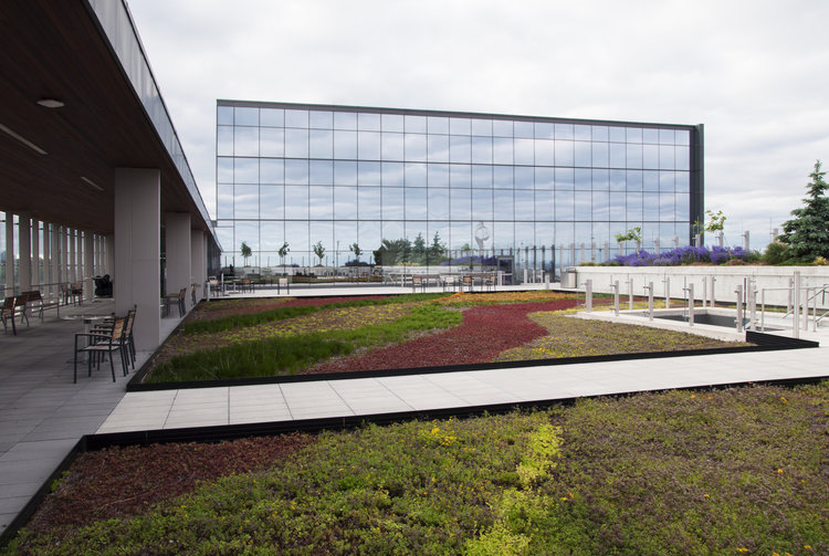 Green Roofs for Healthy Cities extensive green extreme heat climate change