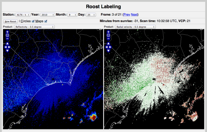 Creating Real-Time, Continent-Wide Forecasts Of Bird Migrations