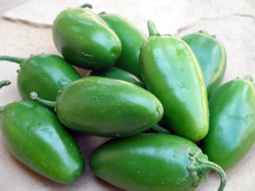 Giant Pepper For Stuffed Jalapeno Poppers Bred Specifically For Increased Cheese Payload