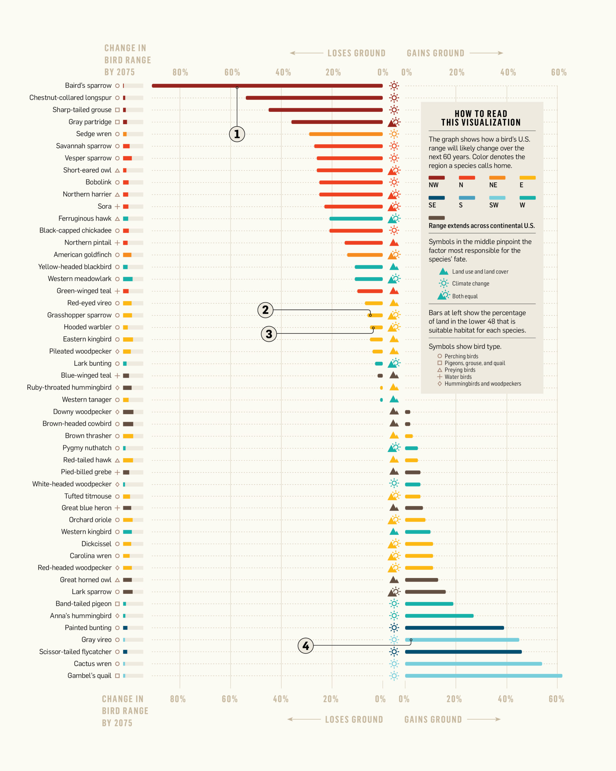 httpswww.popsci.comsitespopsci.comfilesimages201503birds_web_1.jpg