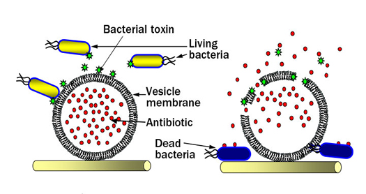 Targeted Wound Dressings Lure Infectious Microbes in, Then Attack