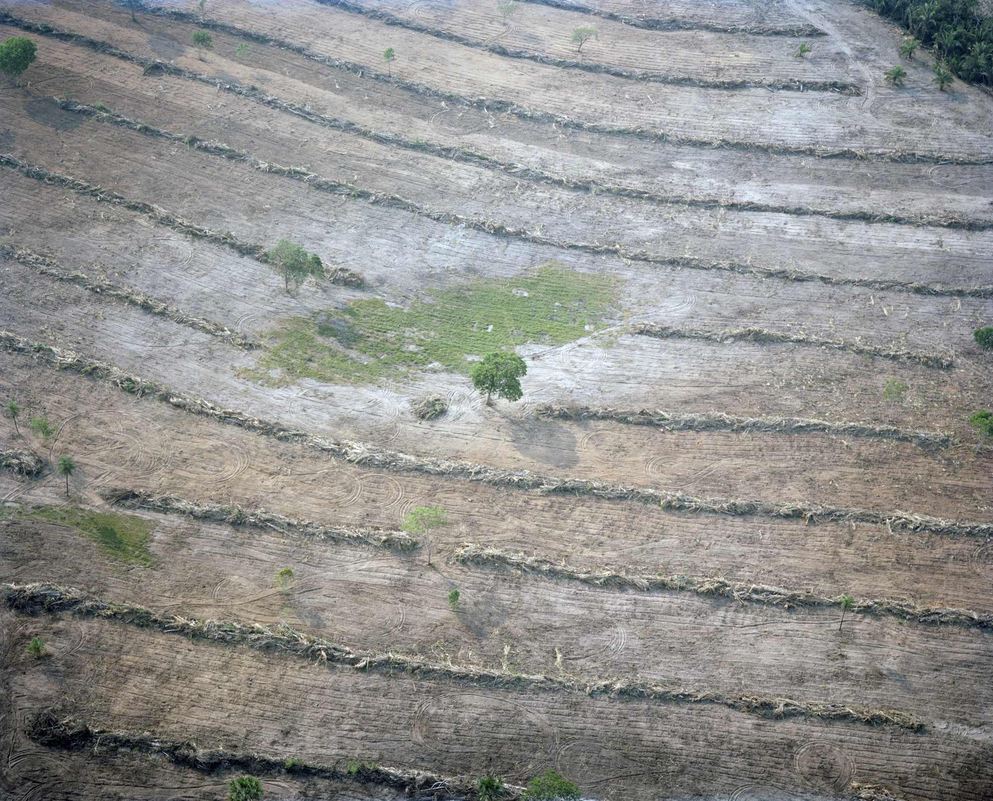 Large deforested area in Mato Grosso, Brazil