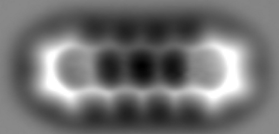 IBM Scientists Take First Close-Up Image of a Single Molecule