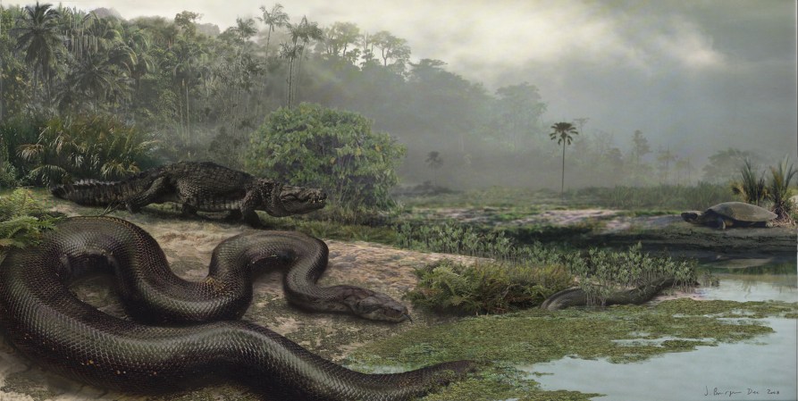 Largest Snake on Earth Uncovered