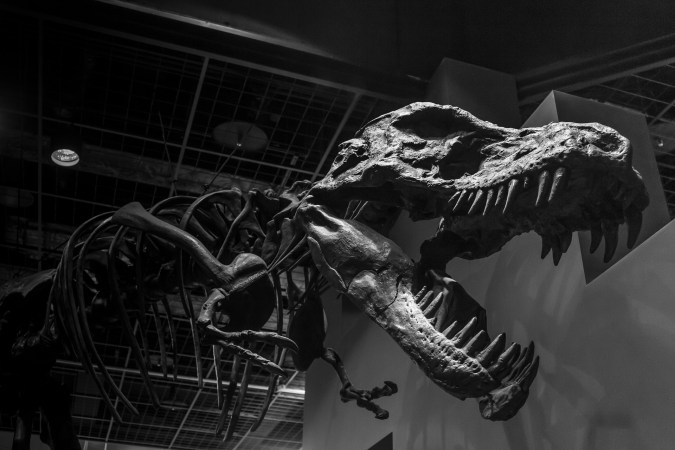 Tyrannosaurus rex had a bone-crushing bite with a force of 8,000 pounds