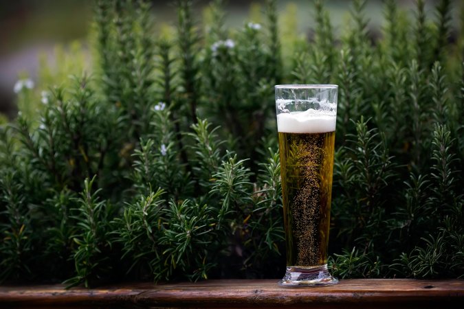 Climate change brings rising seas—and beer prices