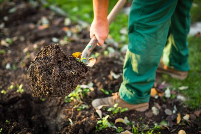 Hate the gym? Grow a garden instead.