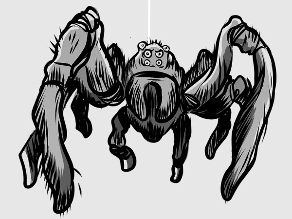 What it’s like facing down tennis-ball-size spiders at work