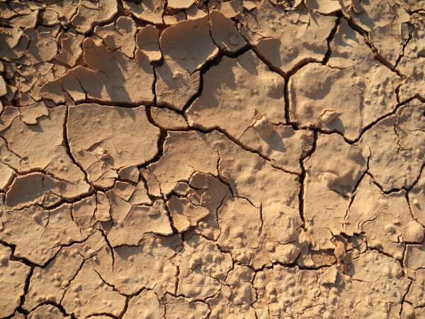 Deadly Heat Stress Could Affect Hundreds Of Millions Of People By 2060
