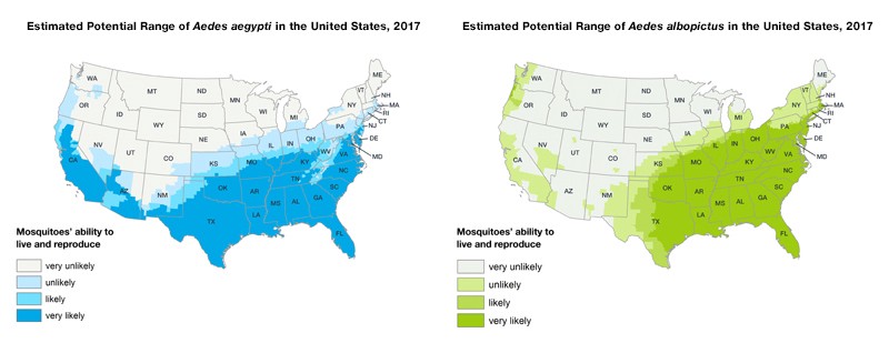 Mosquito map spread disease risk