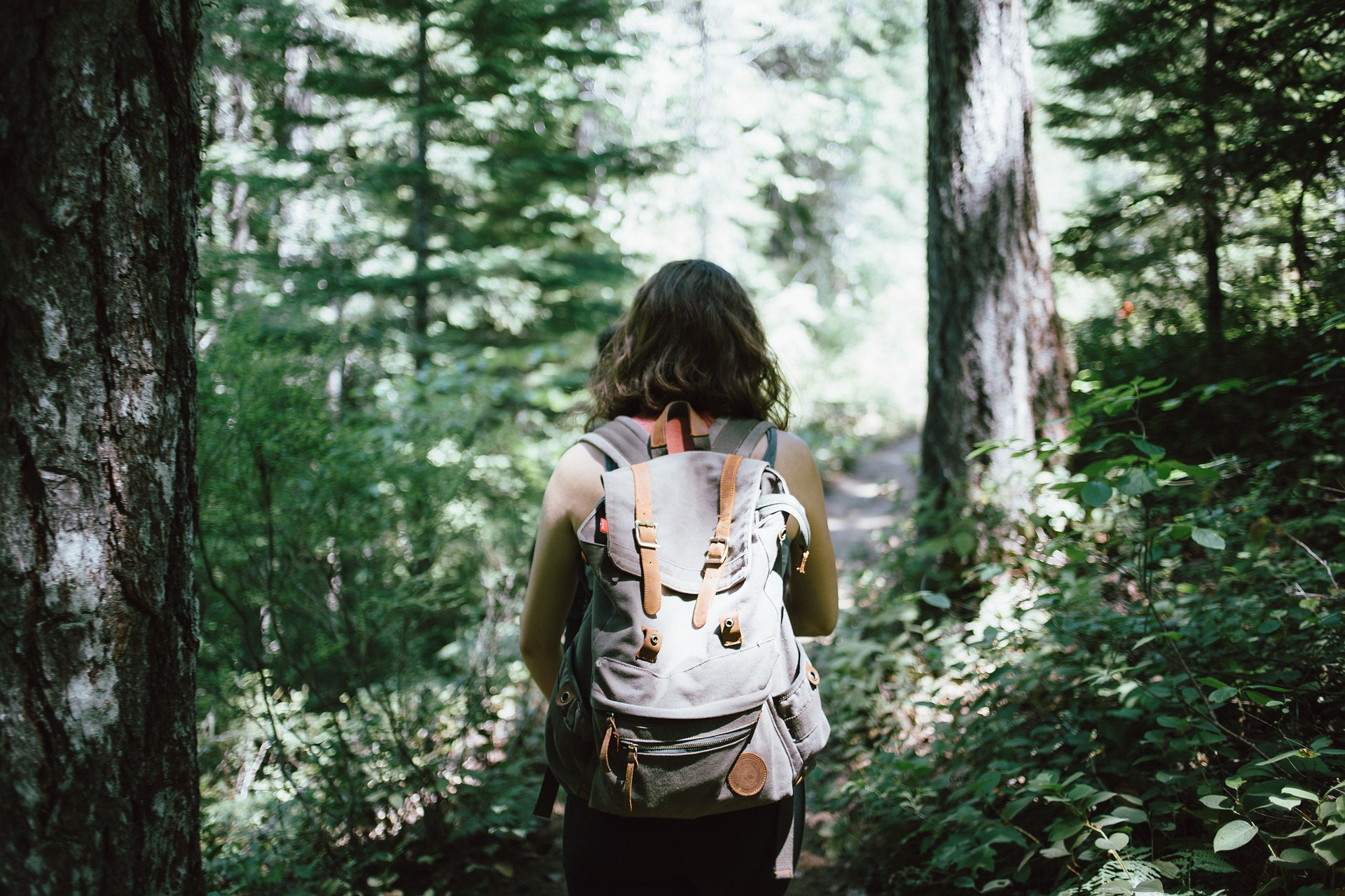 woman hiking trail