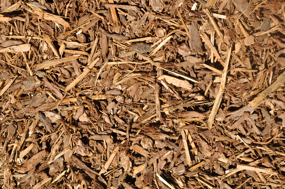 Mulch lawn alternative