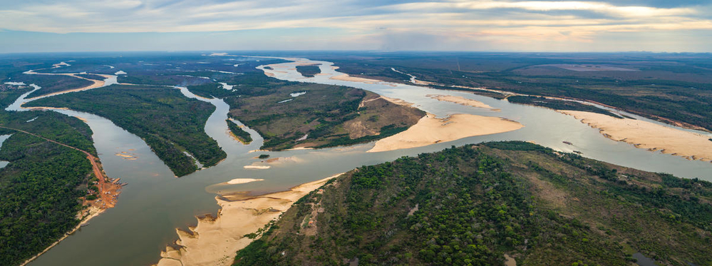 We don’t have a full picture of the planet’s shrinking biodiversity. Here’s why.