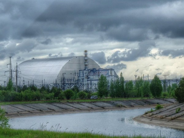 With humans out of the way, Chernobyl’s wildlife thrives