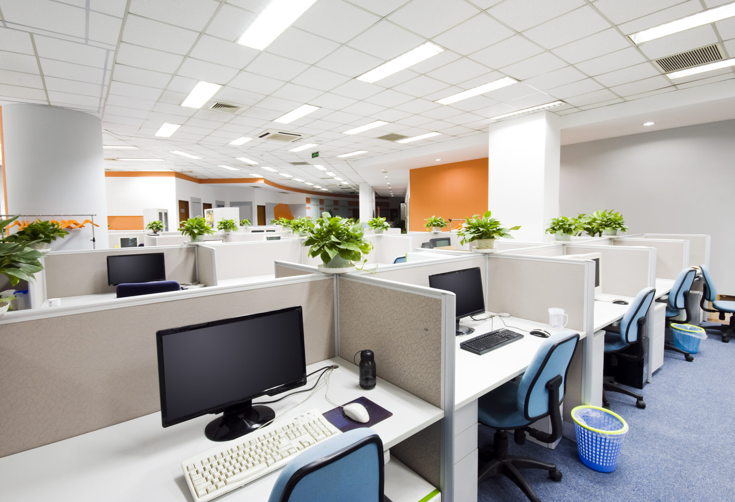 open office with plants