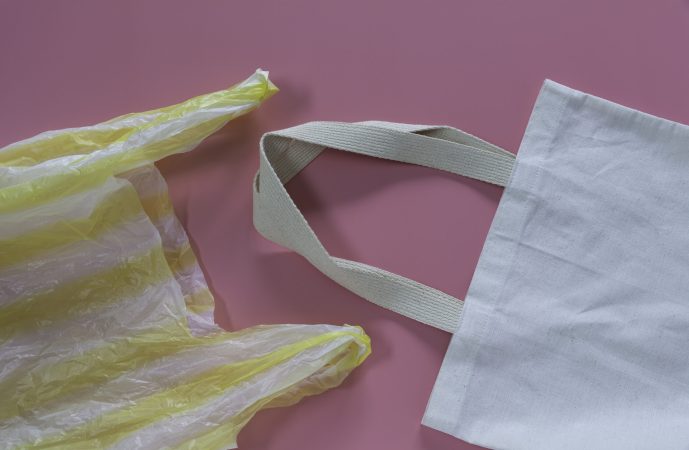 What kind of reusable bag is best for the planet?