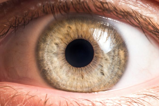 ‘Prob-eye-otics’ could be the future of eye disease treatment