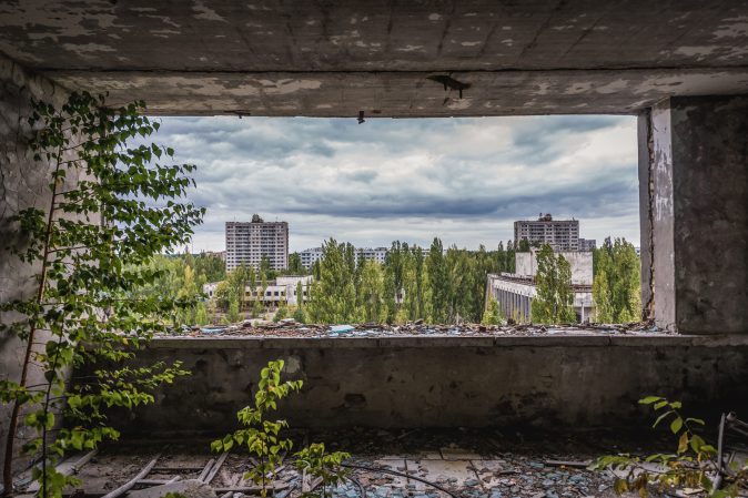 Plants couldn’t run away from Chernobyl—but that’s what saved them