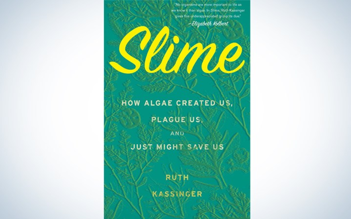  Slime by Ruth Kassinger