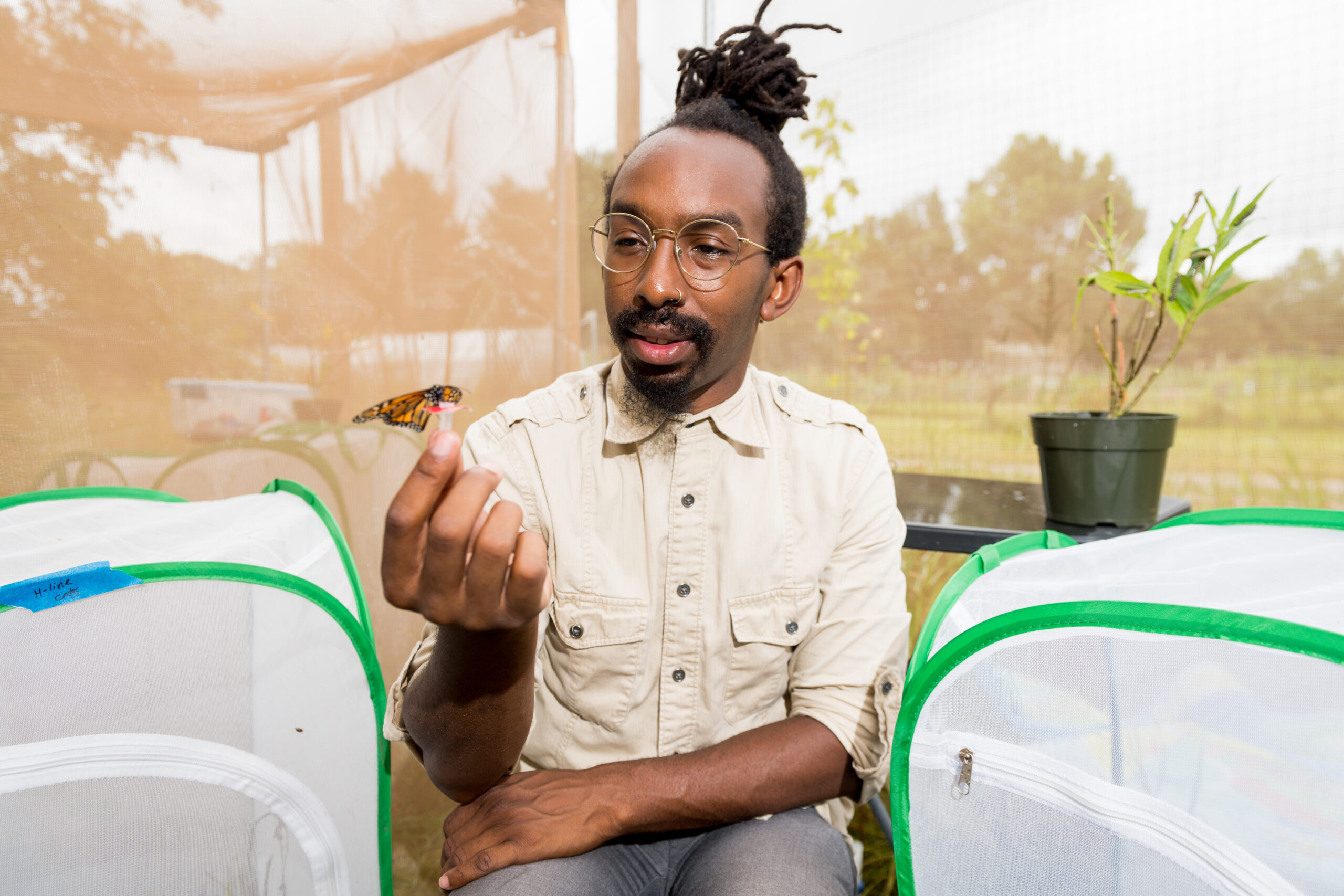 a man holds a butterfly