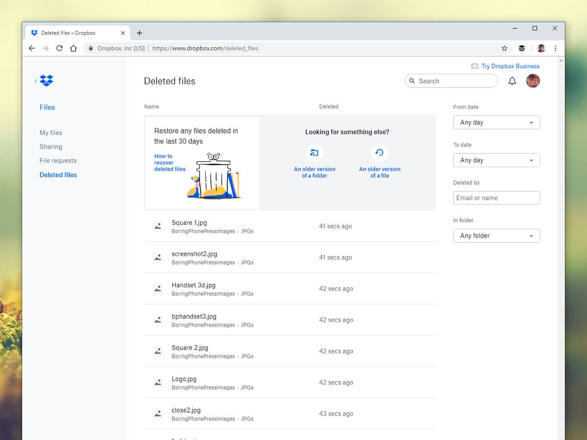 Dropbox deleted files