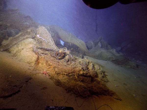 Fishing nets leave precious marine habitats broken and scarred—but some are coming back to life