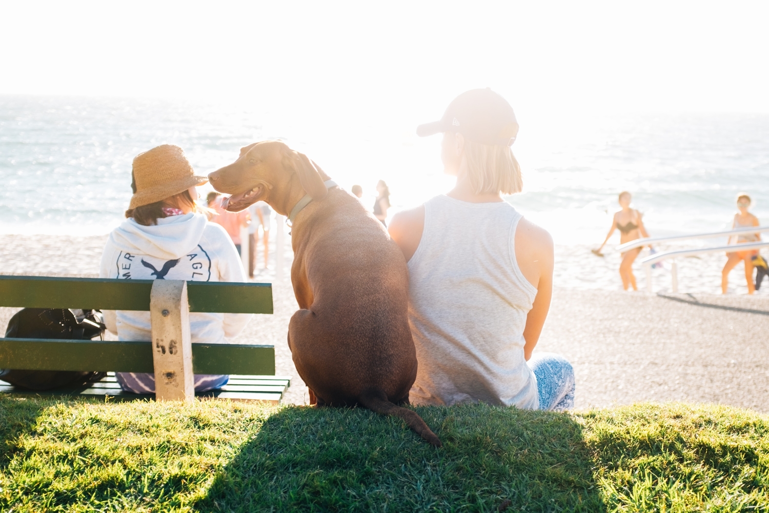 woman sitting on the grass with dog looking at the sea