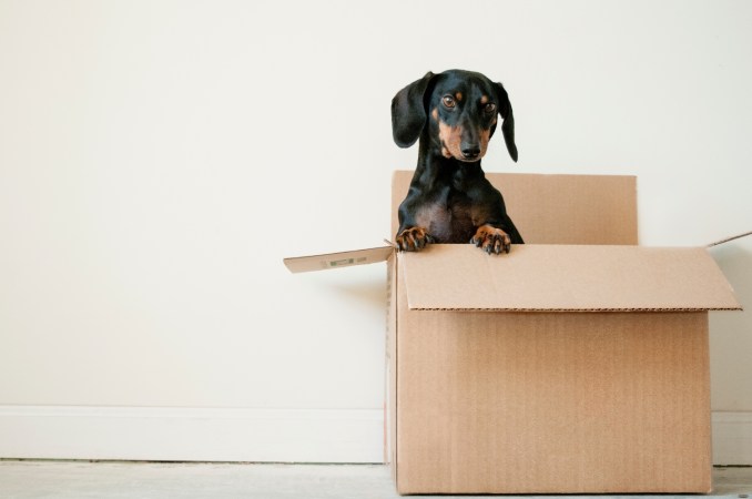 Where to find cardboard boxes when you’re moving