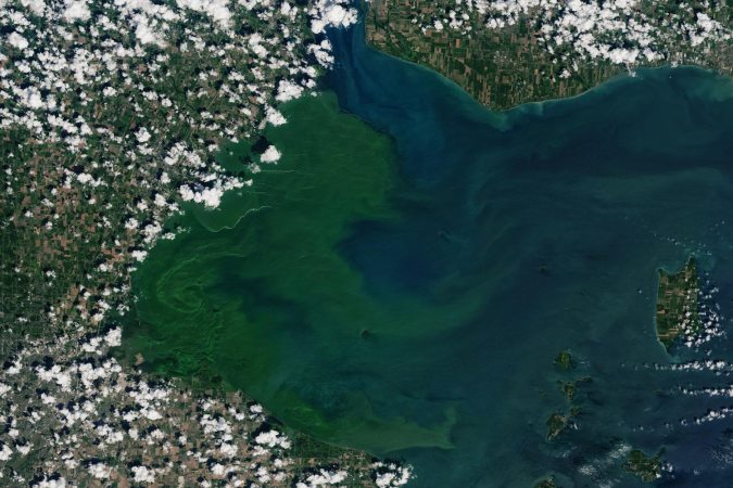 Giving legal rights to nature could reduce public health threats like toxic algae