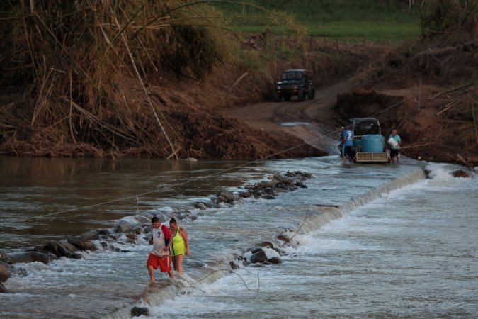 How some fish are adapted to thrive after catastrophic hurricanes