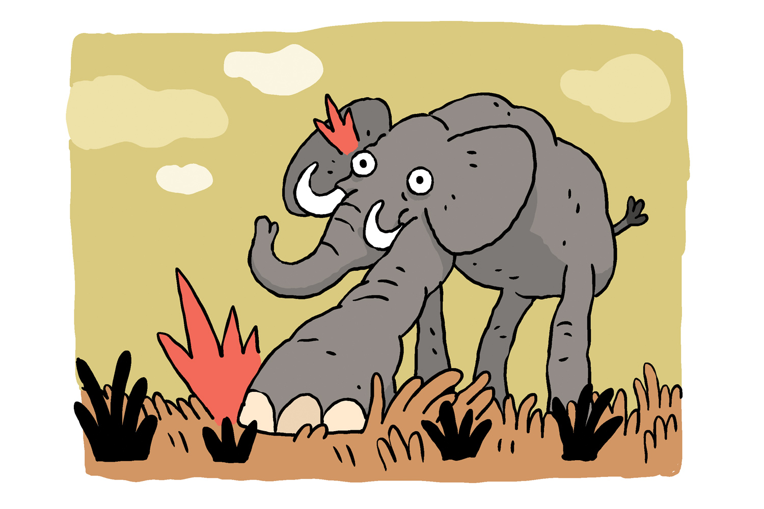 Elephant illustration