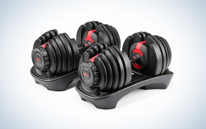  Bowflex SelectTech 552 Adjustable Dumbbells