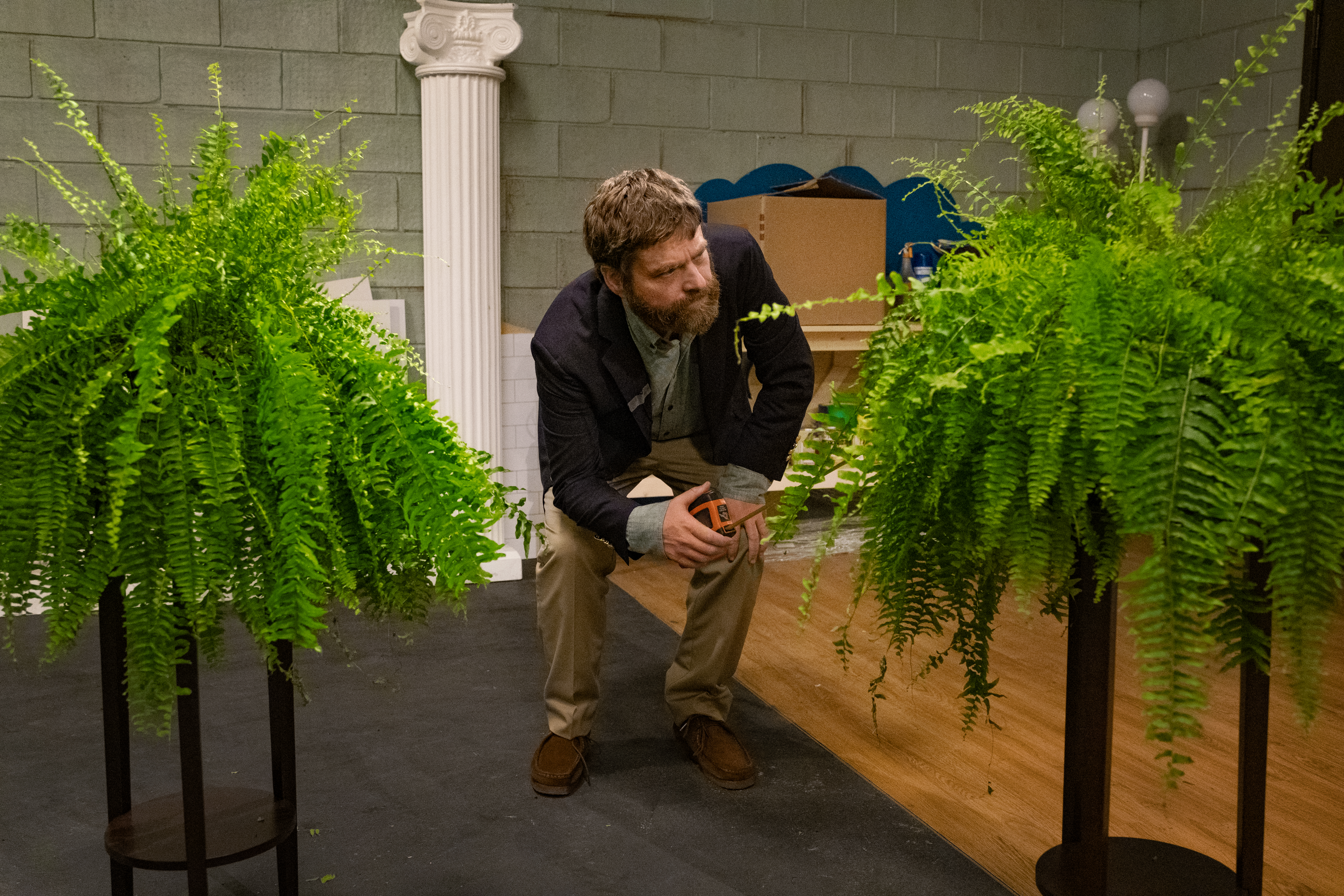 Zach Galifianakis squats between his two Boston ferns