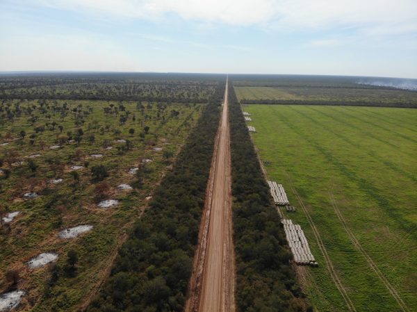 South America’s second-largest forest is burning, just like the Amazon