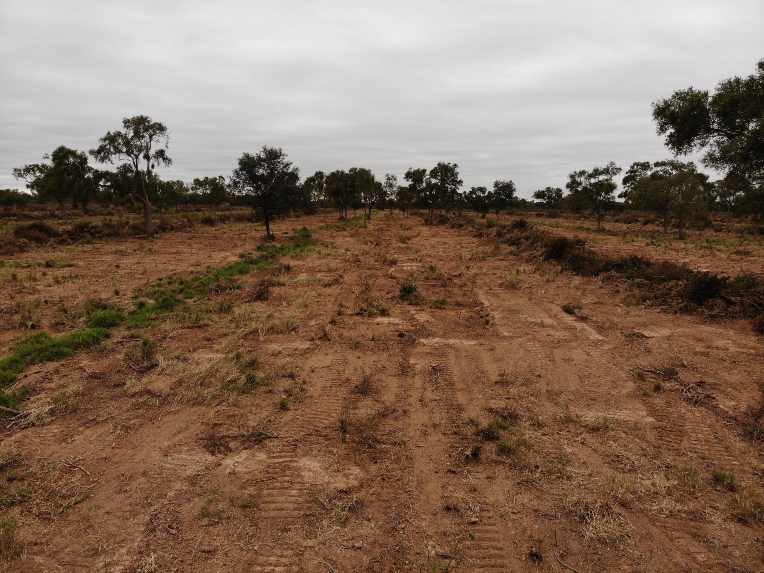 A cow pasture is in the making