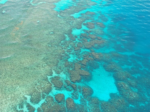 The longest Great Barrier Reef study chronicles a century of devastation