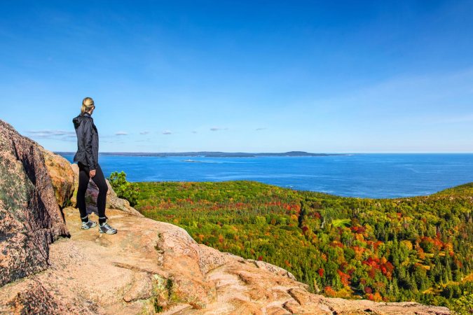 Your ‘basic’ fall leaf photos could serve as evidence of climate change