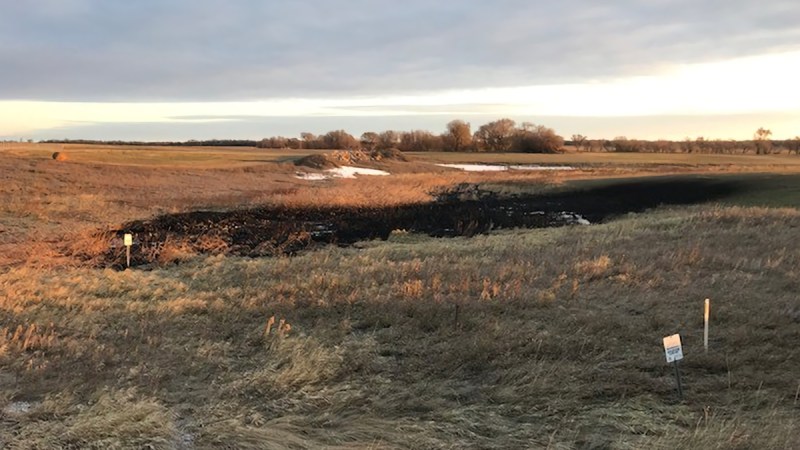 Keystone Pipeline spills 383,000 gallons of oil in North Dakota wetlands