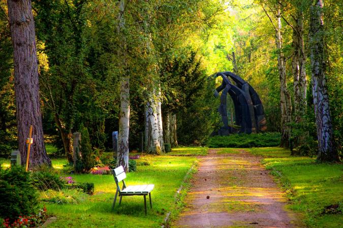 bench next to a path in the middle of a forest with sunlight shining through