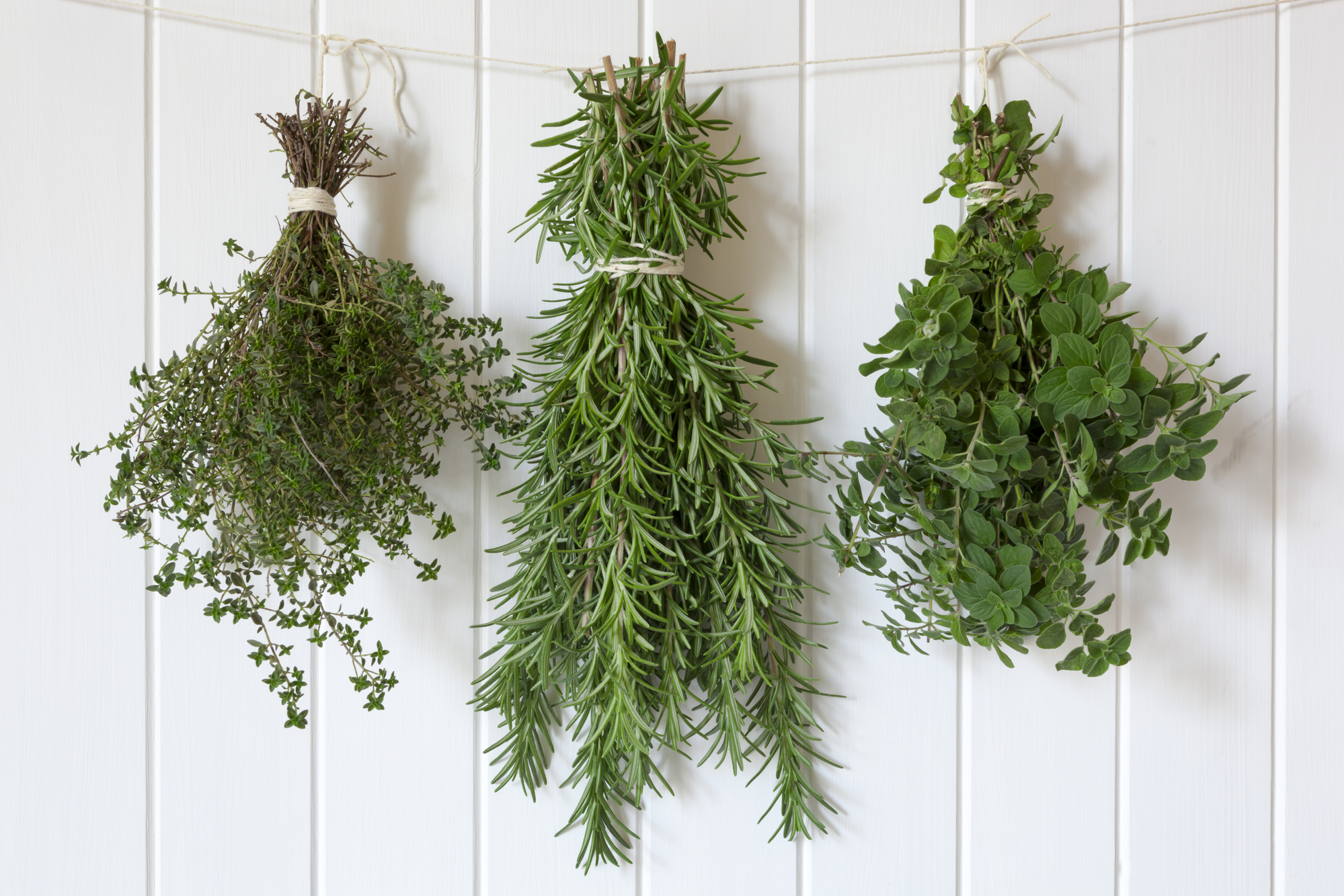Bunches of fresh herbs hanging over white timber.  Includes thyme, rosemary and oregano.