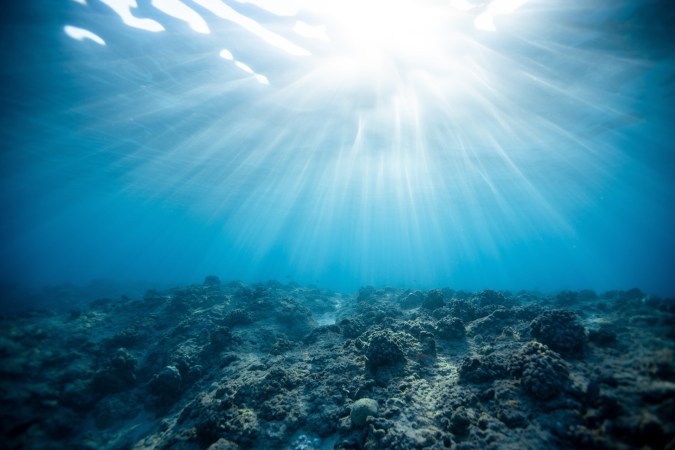 A degraded coral reef.