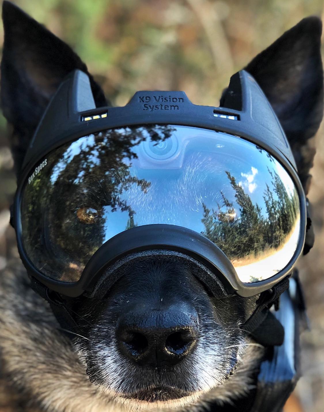 special forces dog goggles