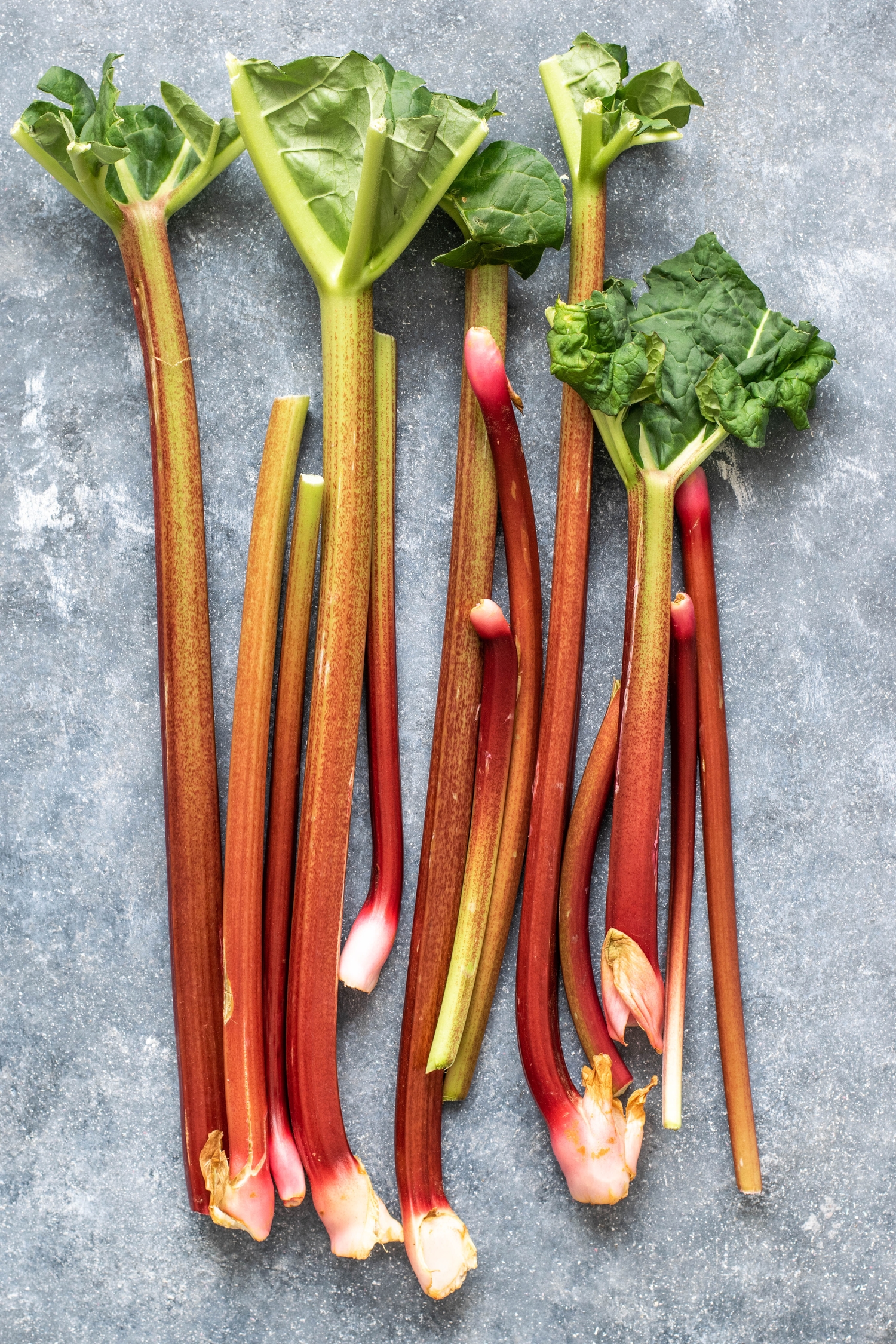 a pile of rhubarb on a gray surface